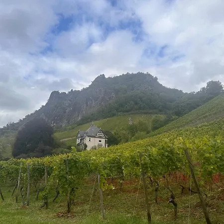 Apartamento Am Rhein