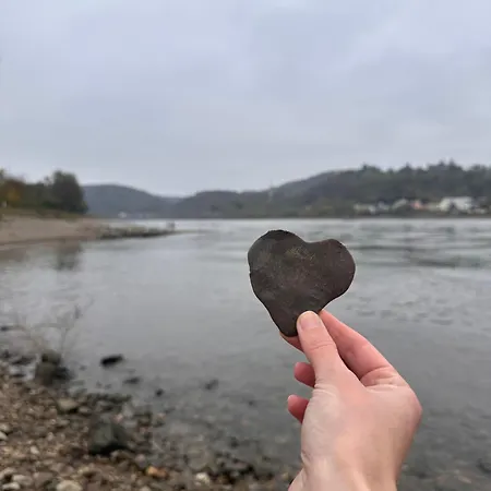 Am Rhein Appartement *