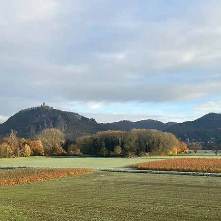 Am Rhein Apartamento *