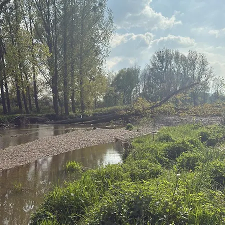 Am Rhein Appartamento