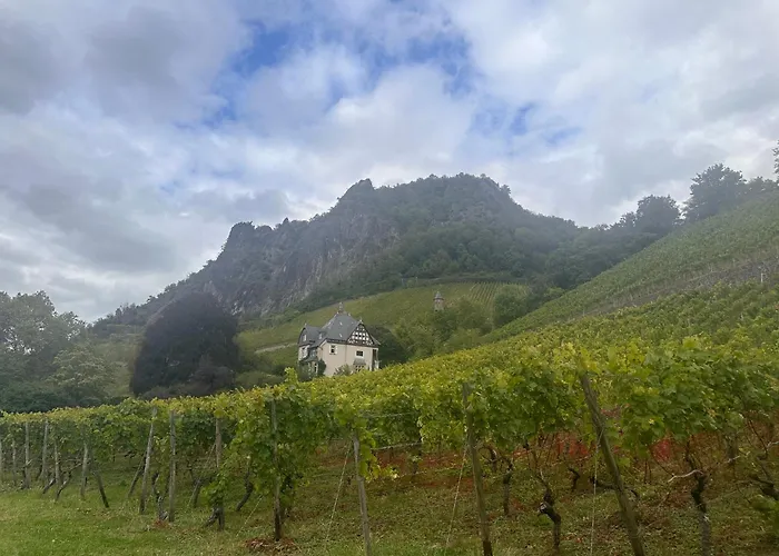 Appartement Am Rhein