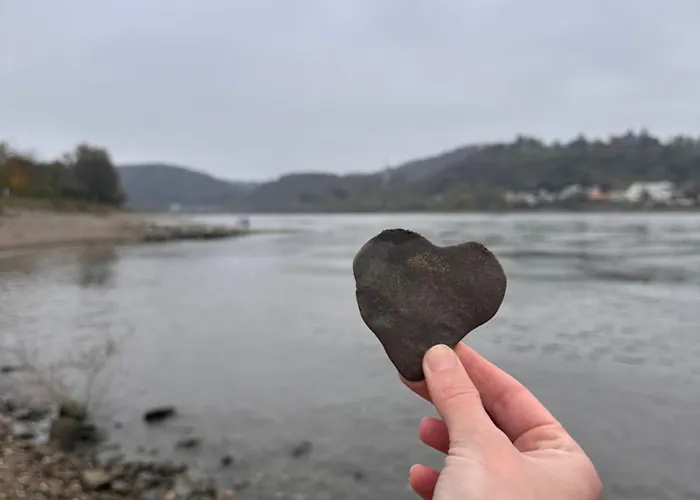 Am Rhein Appartement *