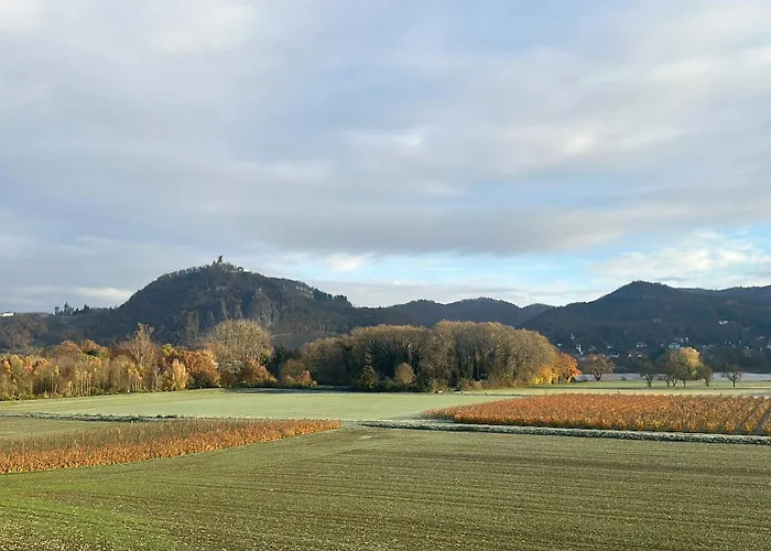 Am Rhein Appartement *