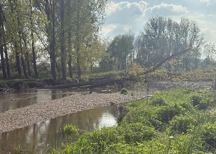 Am Rhein Appartement